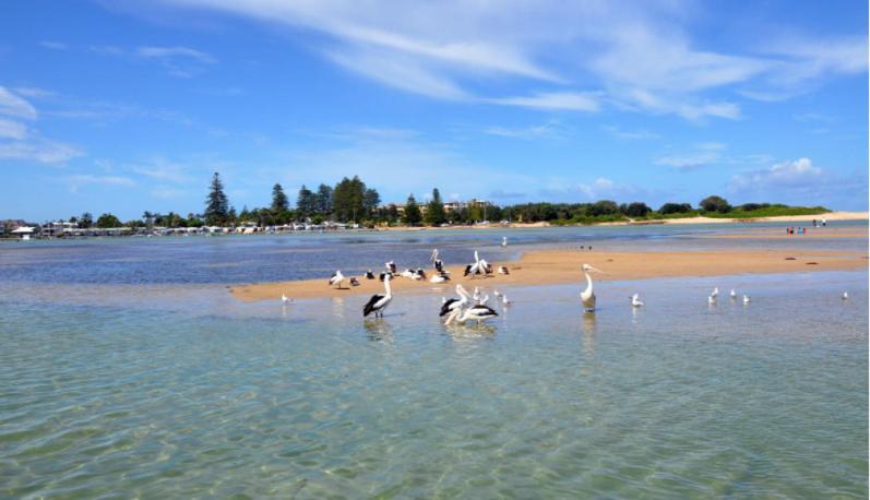 Bay House Motel Bateau Bay Buitenkant foto